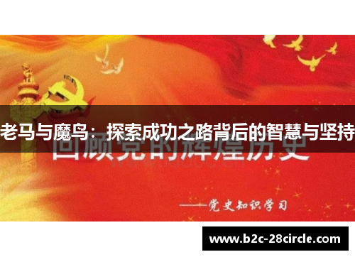 老马与魔鸟：探索成功之路背后的智慧与坚持